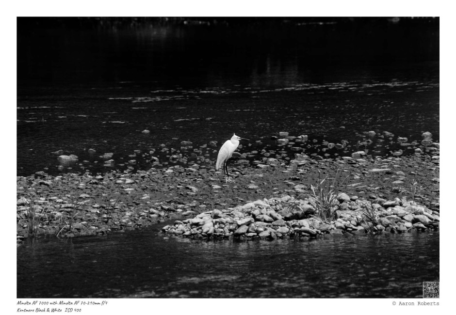 © ALR Photography / Aaron Roberts