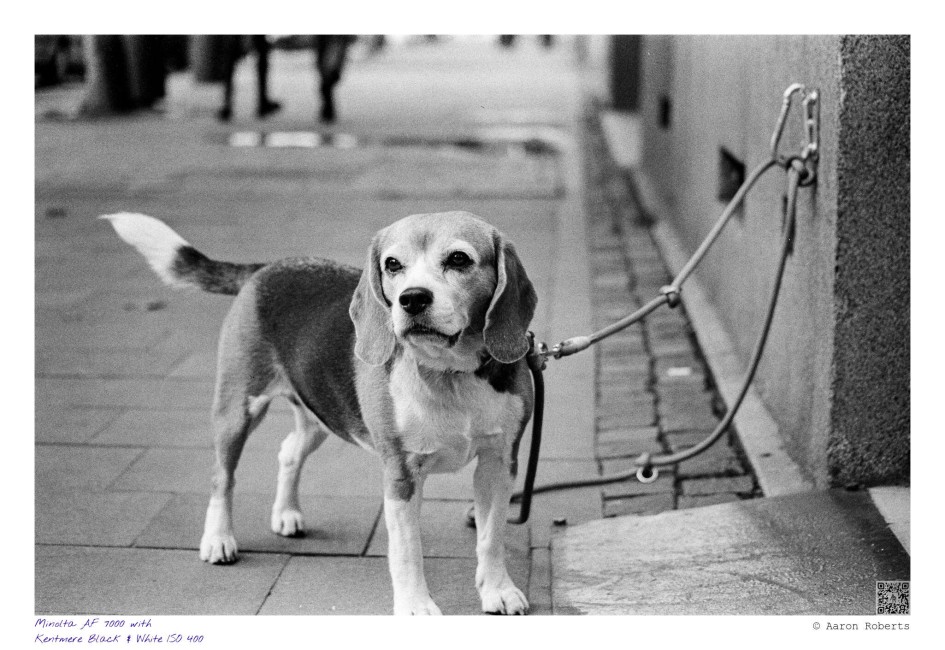Minolta AF 7000 40325003