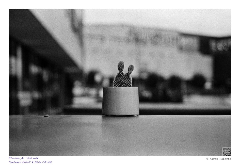 Minolta AF 7000 40325015