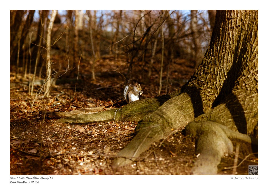 © ALR Photography / Aaron Roberts