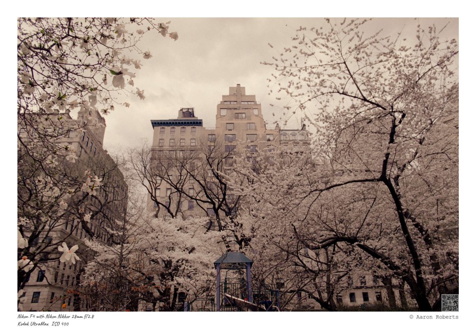 © ALR Photography / Aaron Roberts