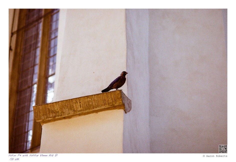 Nikon F4 220825002