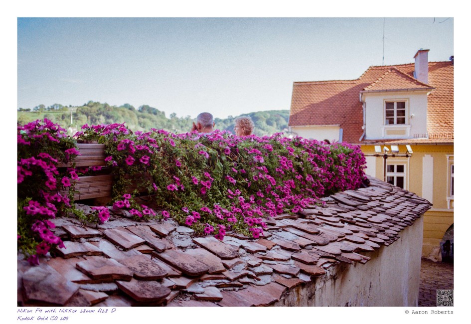 Nikon F4 220825007