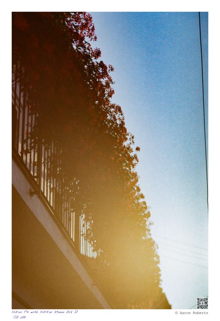 Nikon F4 220825016