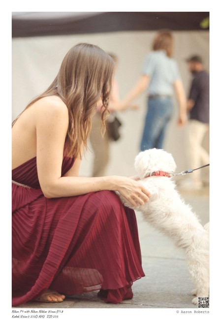 © ALR Photography / Aaron Roberts