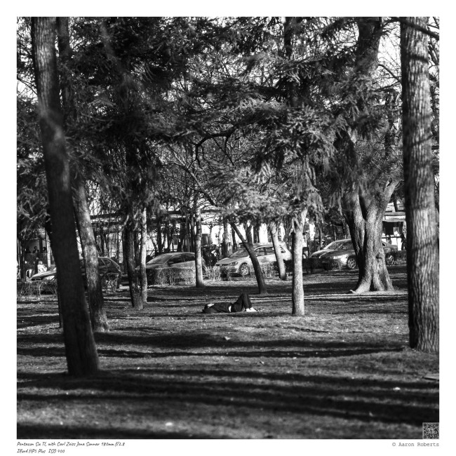 Pentacon Six TL 80326004