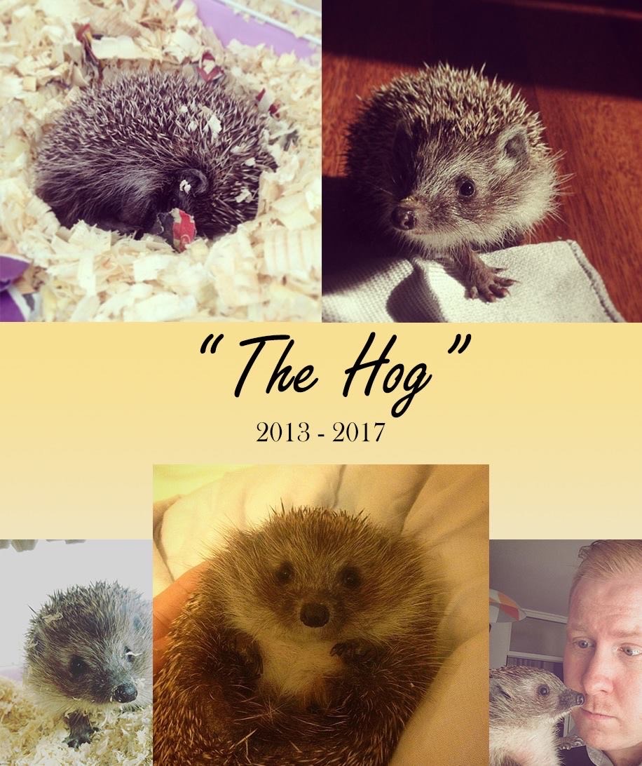 The Hog 2013 - 2017